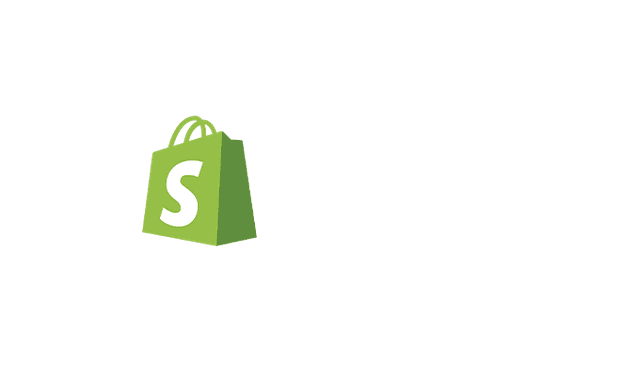 Shopify Partner
